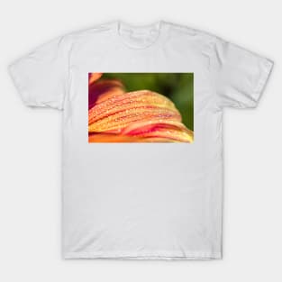 Dew drops on dahlia petals T-Shirt